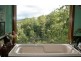 Tamborine Mountain QLD 4272