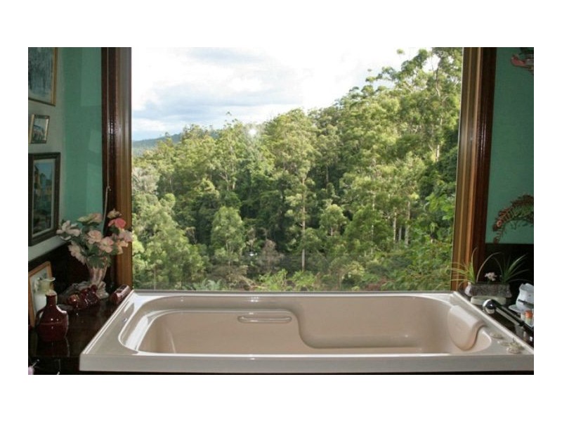 Tamborine Mountain QLD 4272