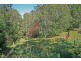 Tamborine Mountain QLD 4272
