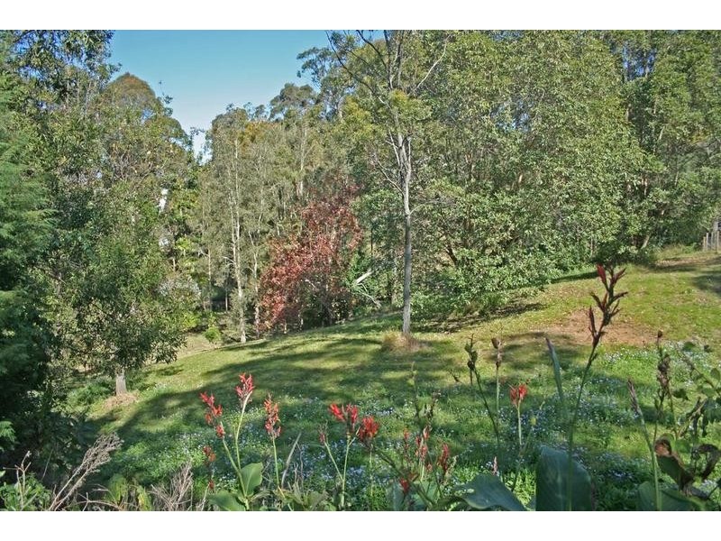 Tamborine Mountain QLD 4272
