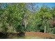 Tamborine Mountain QLD 4272