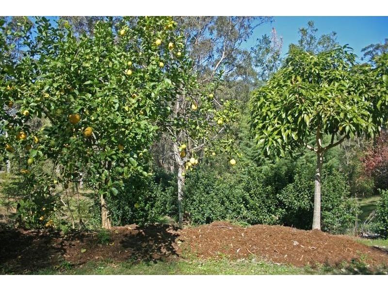 Tamborine Mountain QLD 4272
