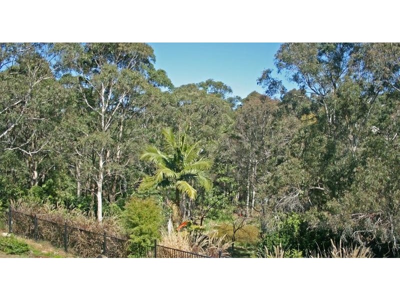 Tamborine Mountain QLD 4272