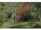 Tamborine Mountain QLD 4272
