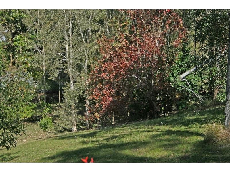 Tamborine Mountain QLD 4272