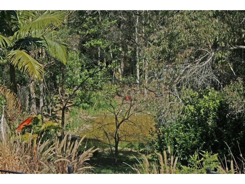 Tamborine Mountain QLD 4272