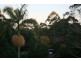 285 MacDonnell Road, Eagle Heights QLD 4271
