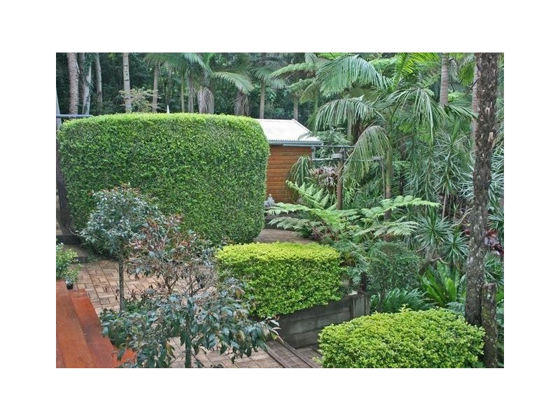 53 Long Road, Eagle Heights QLD 4271