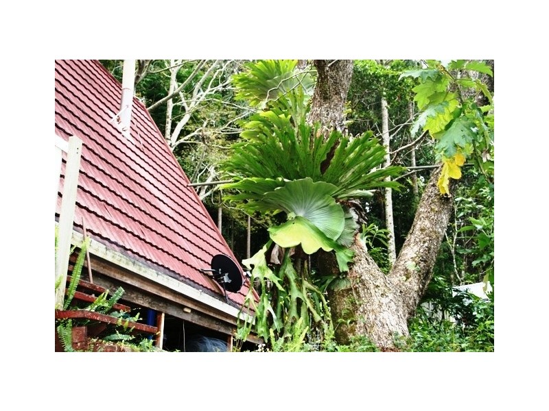 Eagle Heights QLD 4271