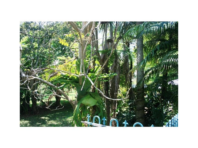 2 Power Parade, Tamborine Mountain QLD 4272