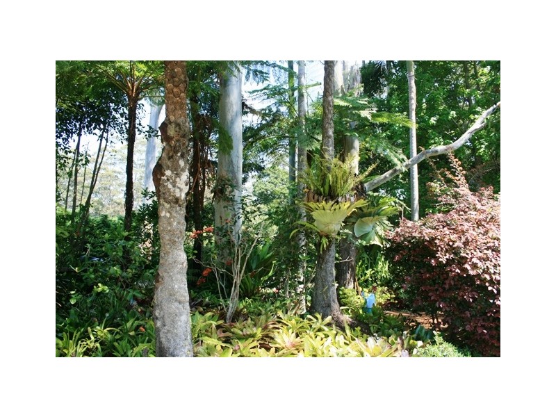 2 Power Parade, Tamborine Mountain QLD 4272