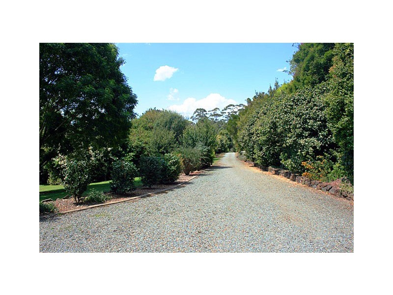 Tamborine Mountain QLD 4272