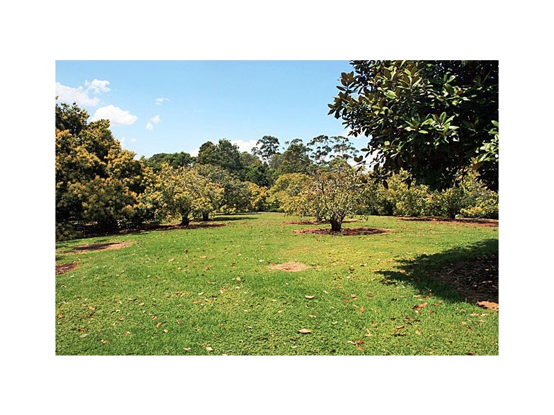Tamborine Mountain QLD 4272