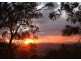Tamborine Mountain QLD 4272