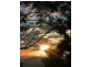 Tamborine Mountain QLD 4272