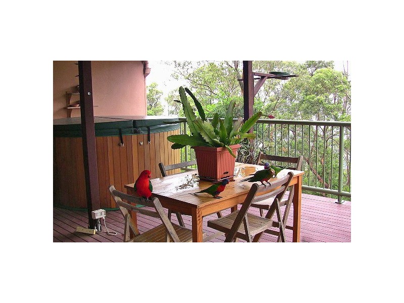 Tamborine Mountain QLD 4272