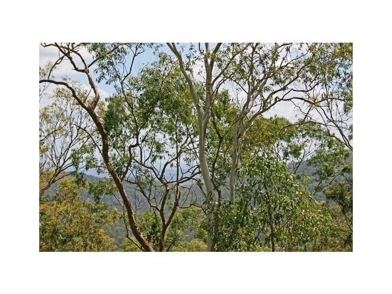 Lot 153 Jourdana Court, Eagle Heights QLD 4271