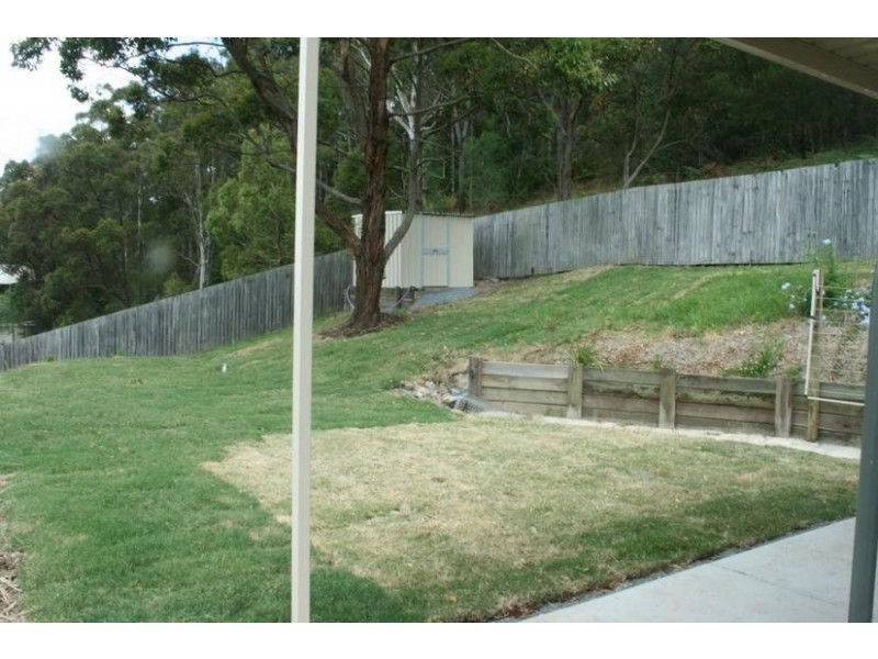 Tamborine Mountain QLD 4272