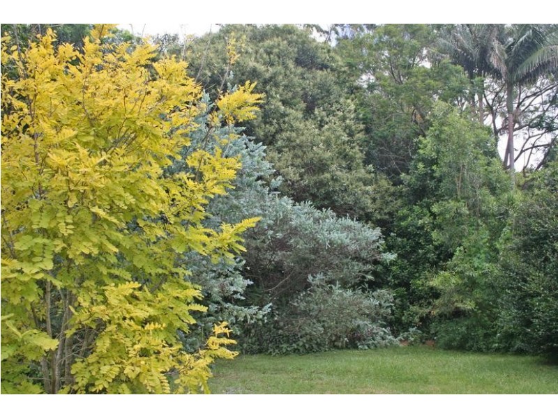 Tamborine Mountain QLD 4272