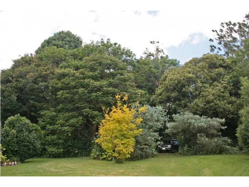 Tamborine Mountain QLD 4272