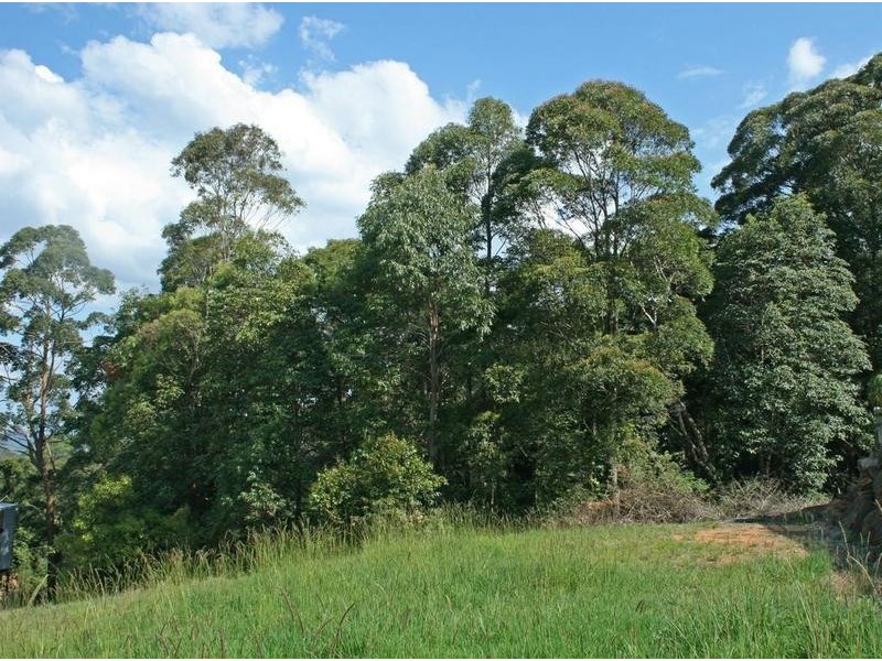 Tamborine Mountain QLD 4272