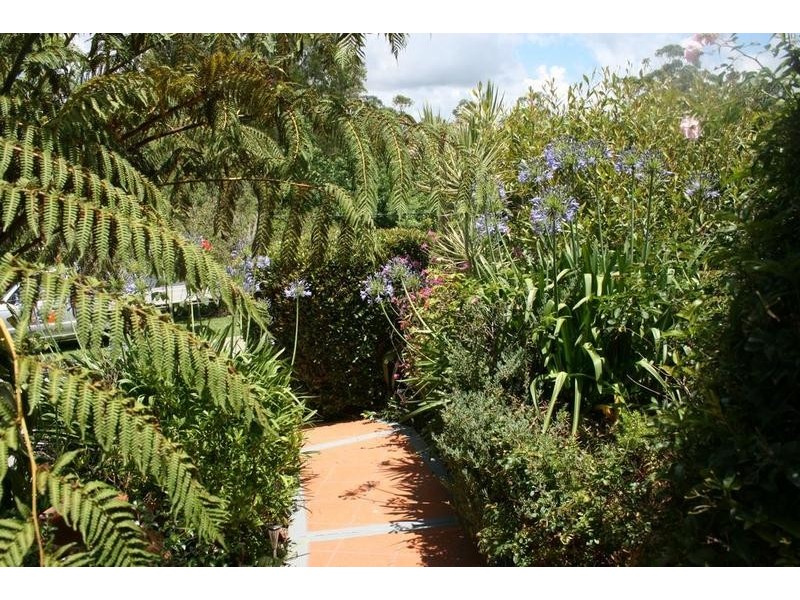 Tamborine Mountain QLD 4272