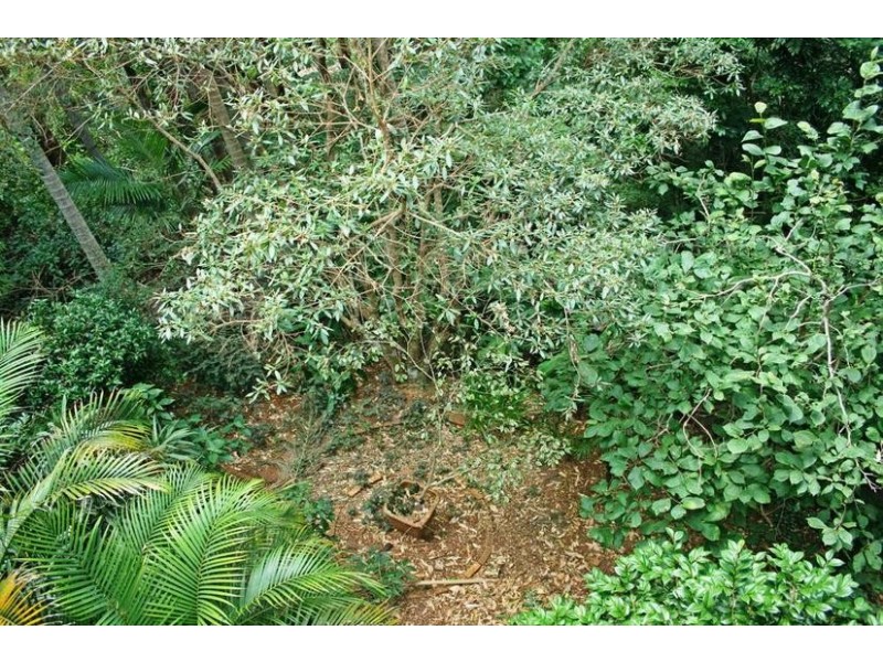 7 Witherby Crescent, Eagle Heights QLD 4271