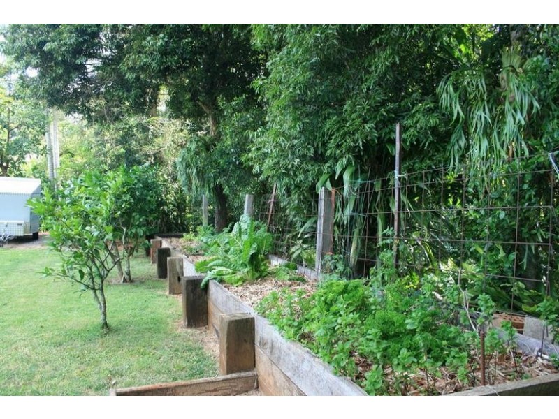 68 MacDonnell Road, Eagle Heights QLD 4271