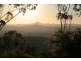 Tamborine Mountain QLD 4272