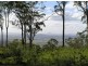 Tamborine Mountain QLD 4272