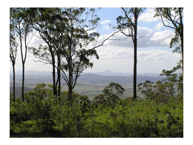 Tamborine Mountain QLD 4272