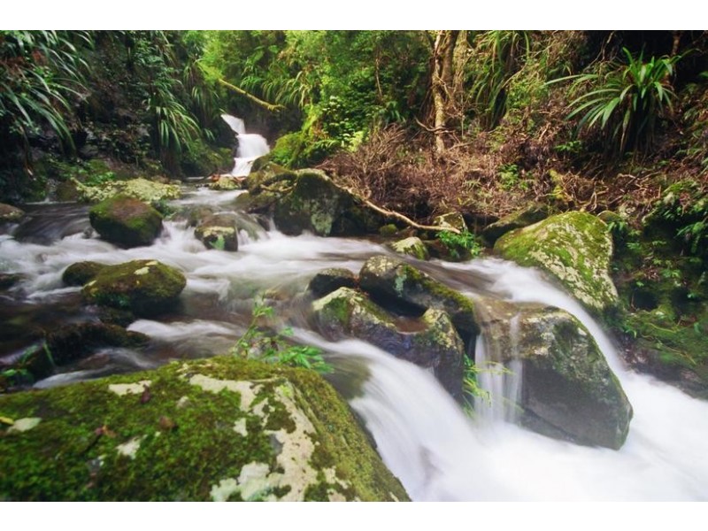 Tamborine Mountain QLD 4272