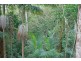9 Kinabalu Drive, Eagle Heights QLD 4271