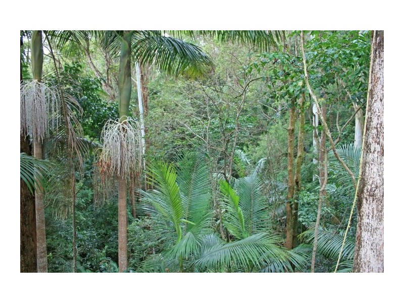 9 Kinabalu Drive, Eagle Heights QLD 4271