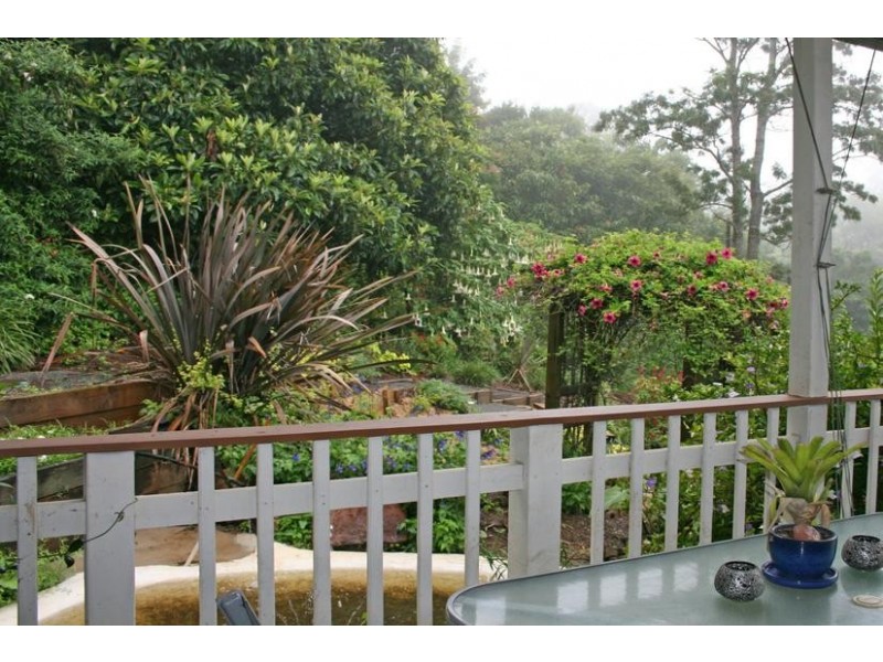 17 Kalmia Court, Tamborine Mountain QLD 4272