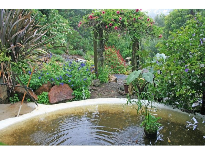 17 Kalmia Court, Tamborine Mountain QLD 4272