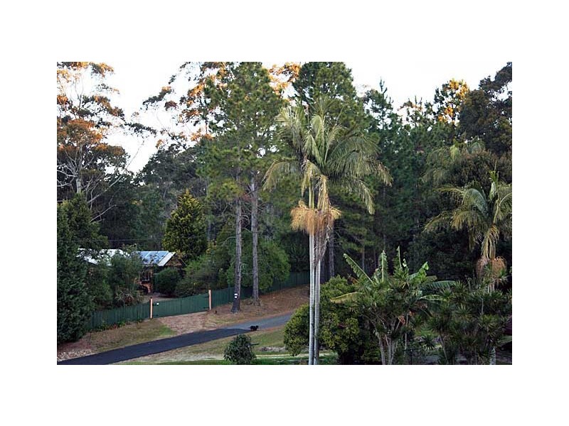 Tamborine Mountain QLD 4272