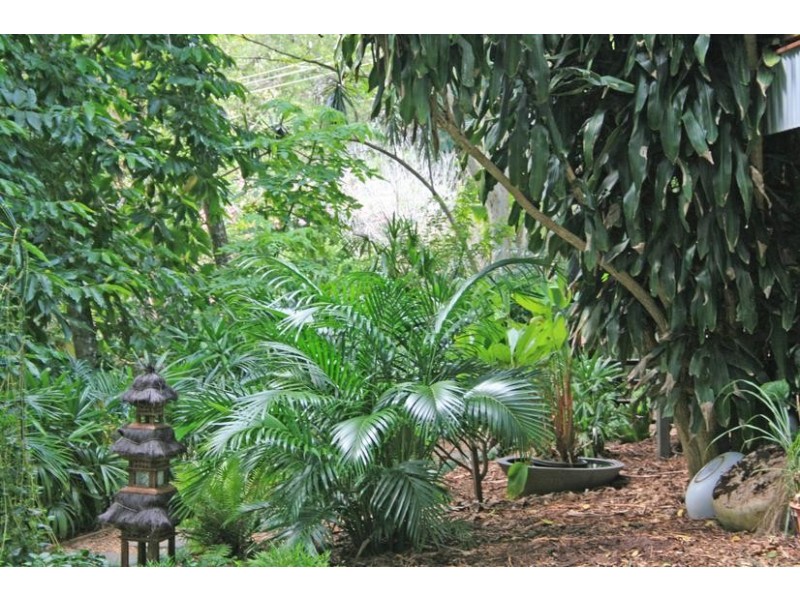 38 Dapsang Drive, Tamborine Mountain QLD 4272