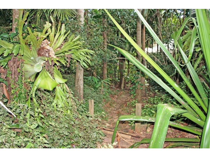 14 Kinabalu Drive, Tamborine Mountain QLD 4272