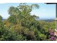 52 Paradise Drive, Eagle Heights QLD 4271
