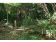 28 Beechmont Avenue, Tamborine Mountain QLD 4272