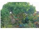 73 Coomera Gorge Drive, Tamborine Mountain QLD 4272
