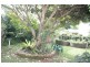 73 Coomera Gorge Drive, Tamborine Mountain QLD 4272