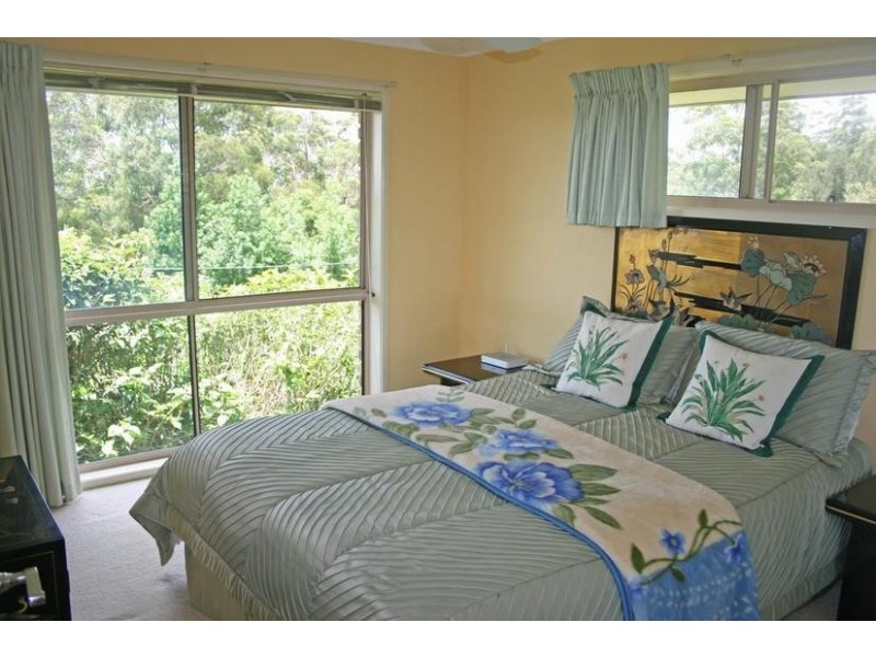 Tamborine Mountain QLD 4272