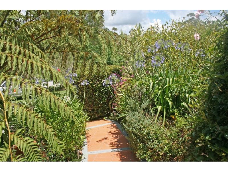 Tamborine Mountain QLD 4272