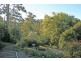 17 Kalmia Court, Tamborine Mountain QLD 4272