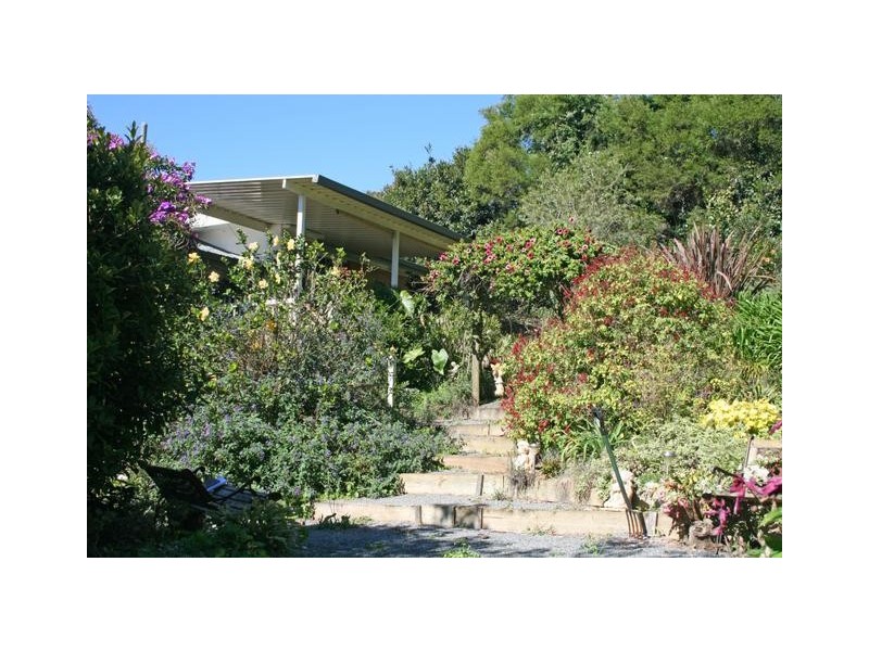 17 Kalmia Court, Tamborine Mountain QLD 4272