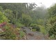 17 Kalmia Court, Tamborine Mountain QLD 4272