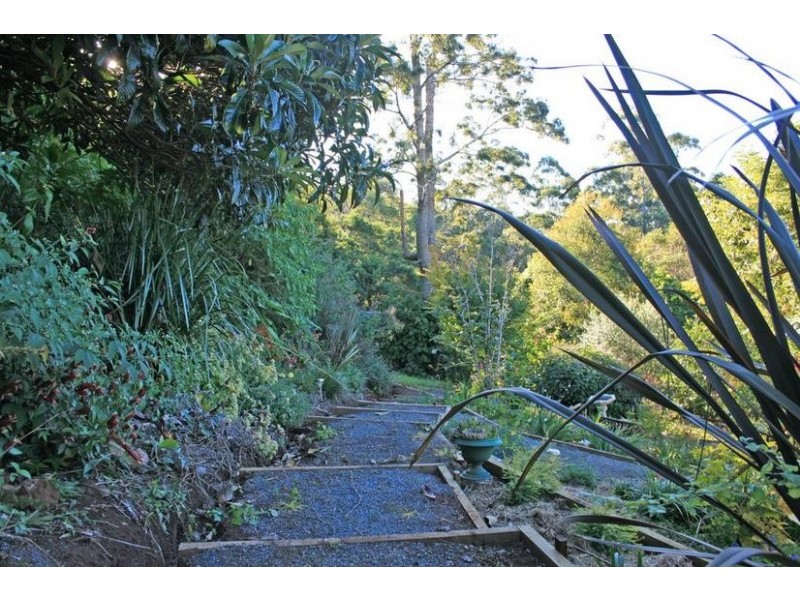 17 Kalmia Court, Tamborine Mountain QLD 4272