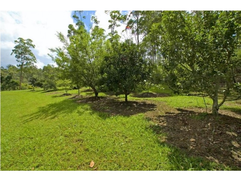 33 Upper Ormeau Road, Tamborine Mountain QLD 4272